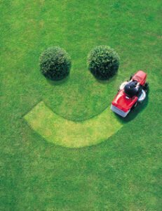 happy-lawnmower